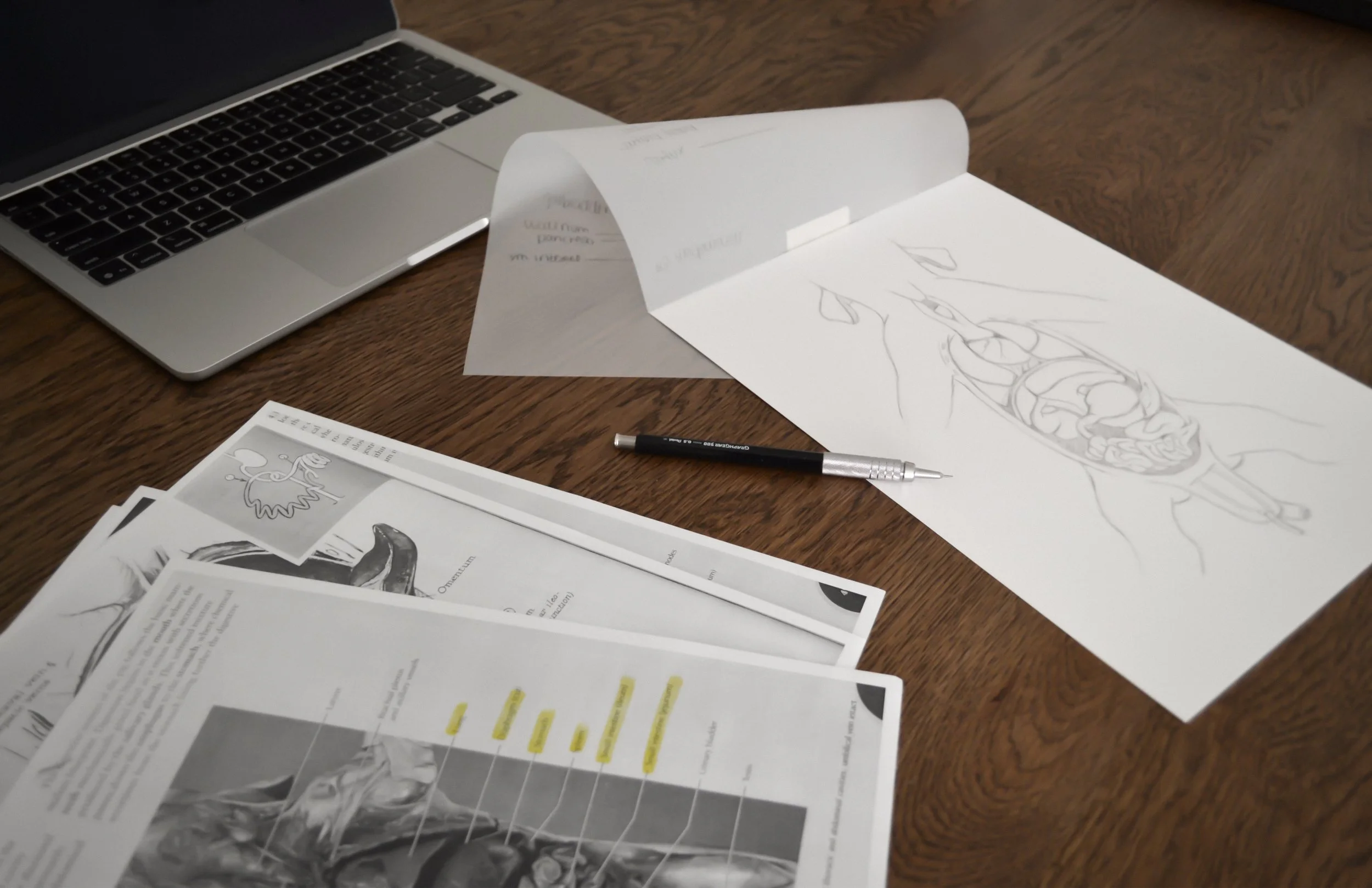 Papers on a table featuring anatomical drawings of a fetal pig's organs, with reference materials nearby.