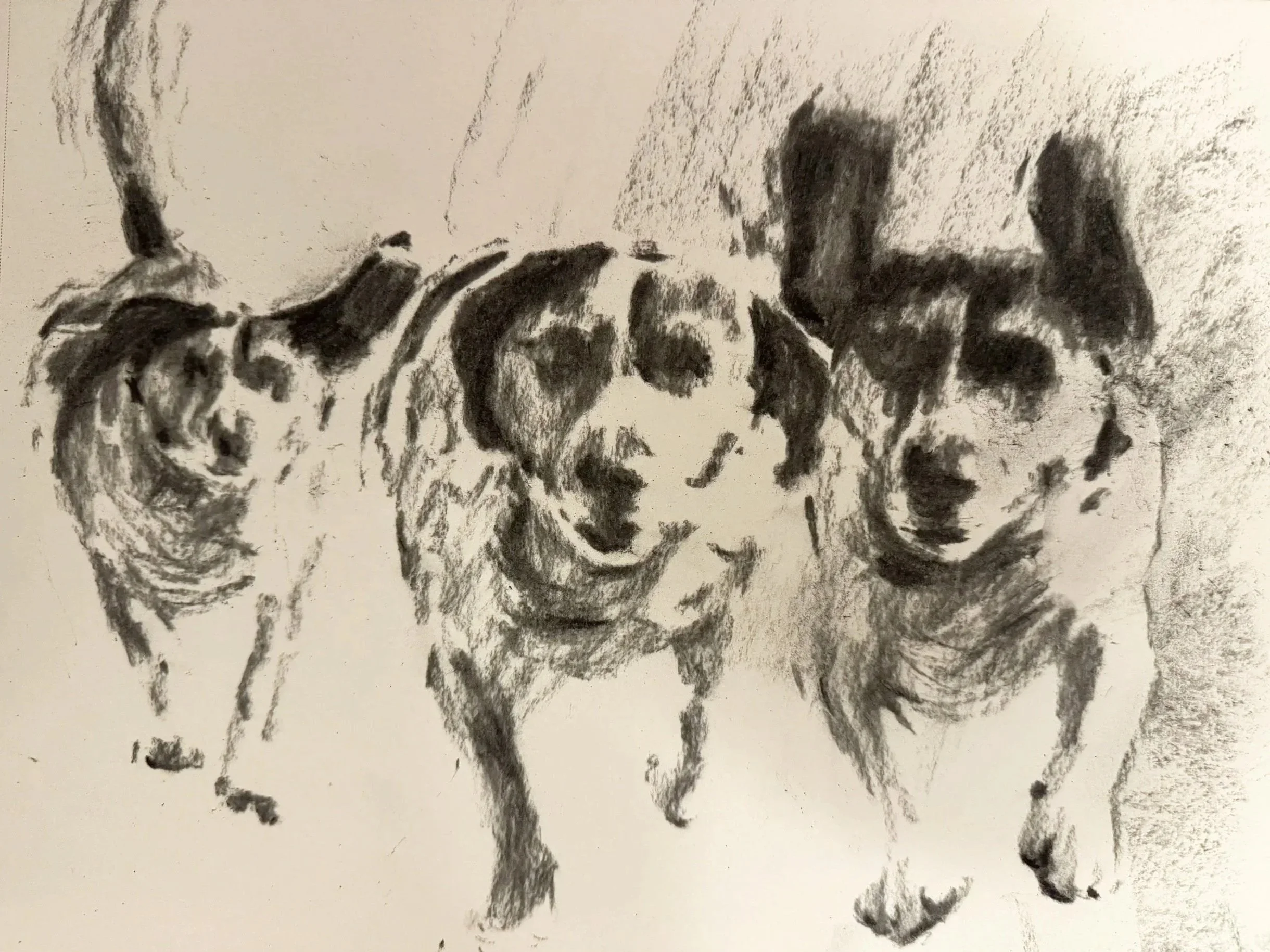 PRACTICE THREAD: Drawing and Texture