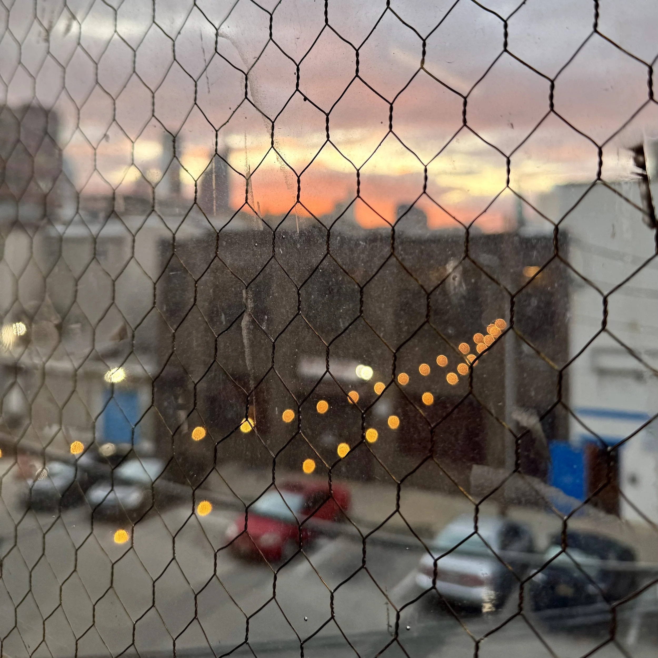 Looking out from visiting a floor up from me.