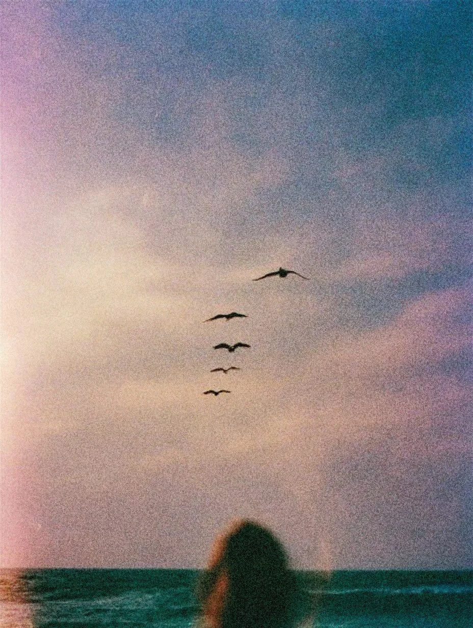 A person sitting on the beach watching seagulls flying in the sky during sunset or sunrise with a cloudy sky.