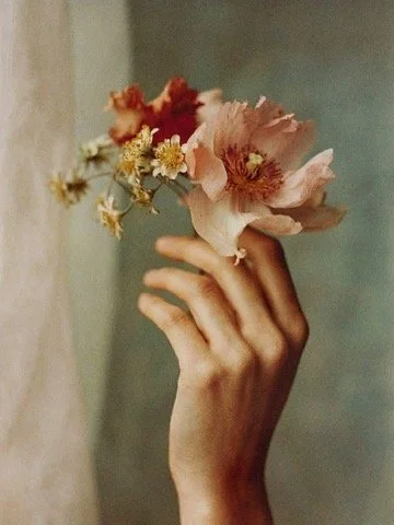 A hand holding a small bouquet of pink and white flowers against a neutral background.