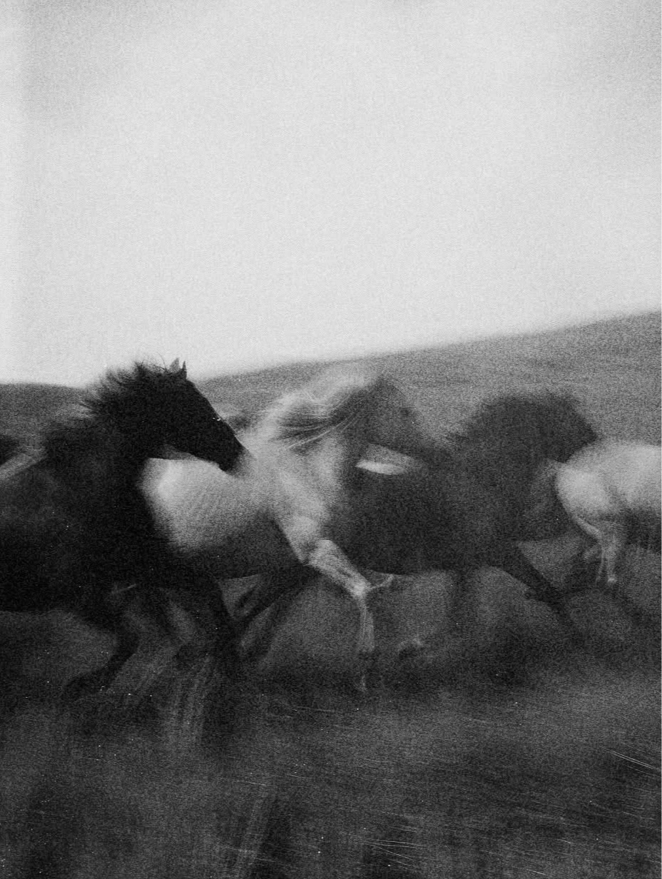 Black and white photo of three horses racing on a dirt track, with a blurred background suggesting motion.