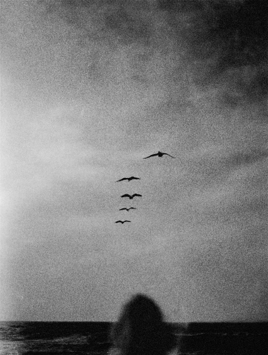 Black and white photo of birds flying over water with a large splash or wave at the bottom.