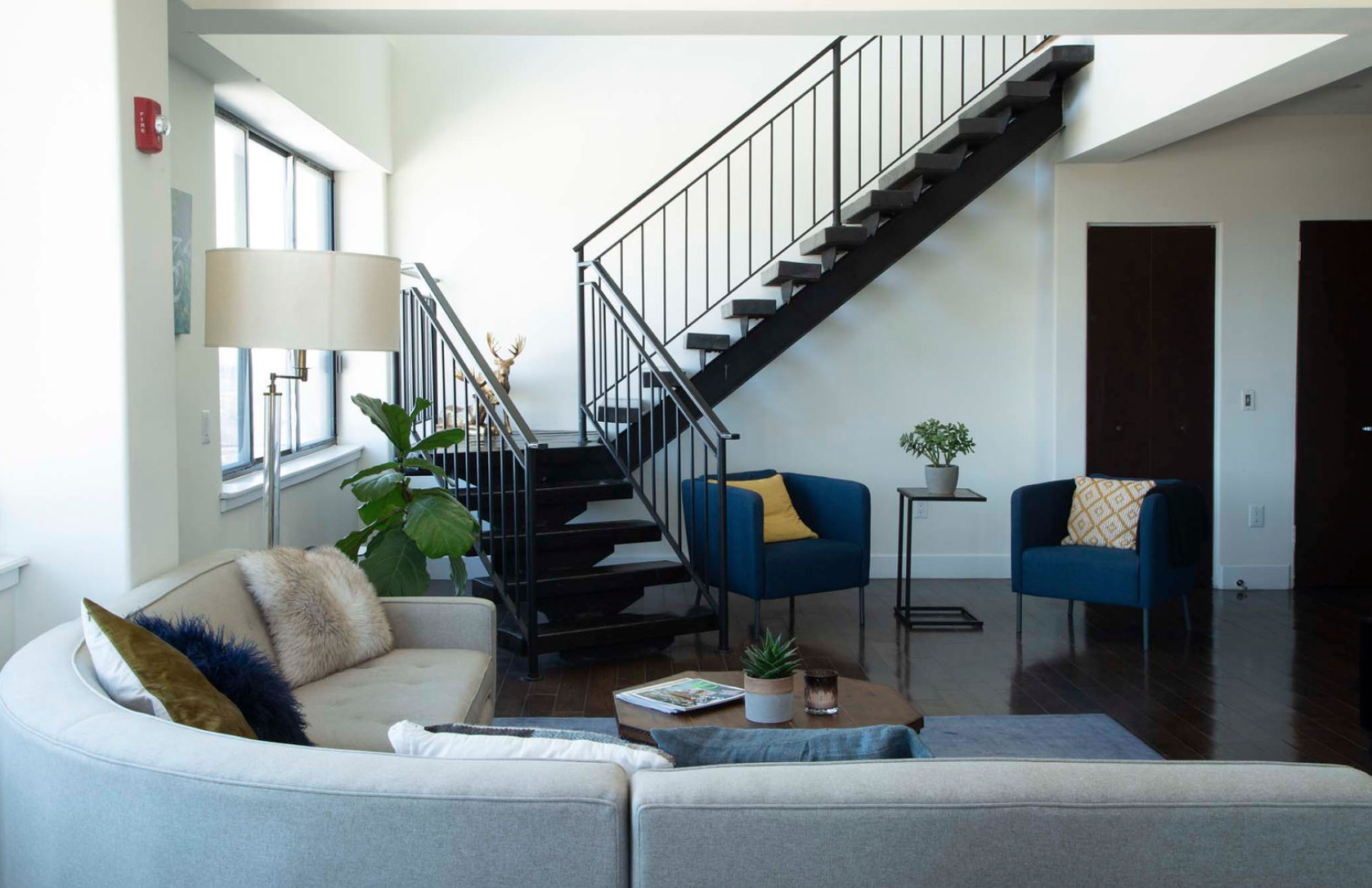 indigo interior 1 (1).png