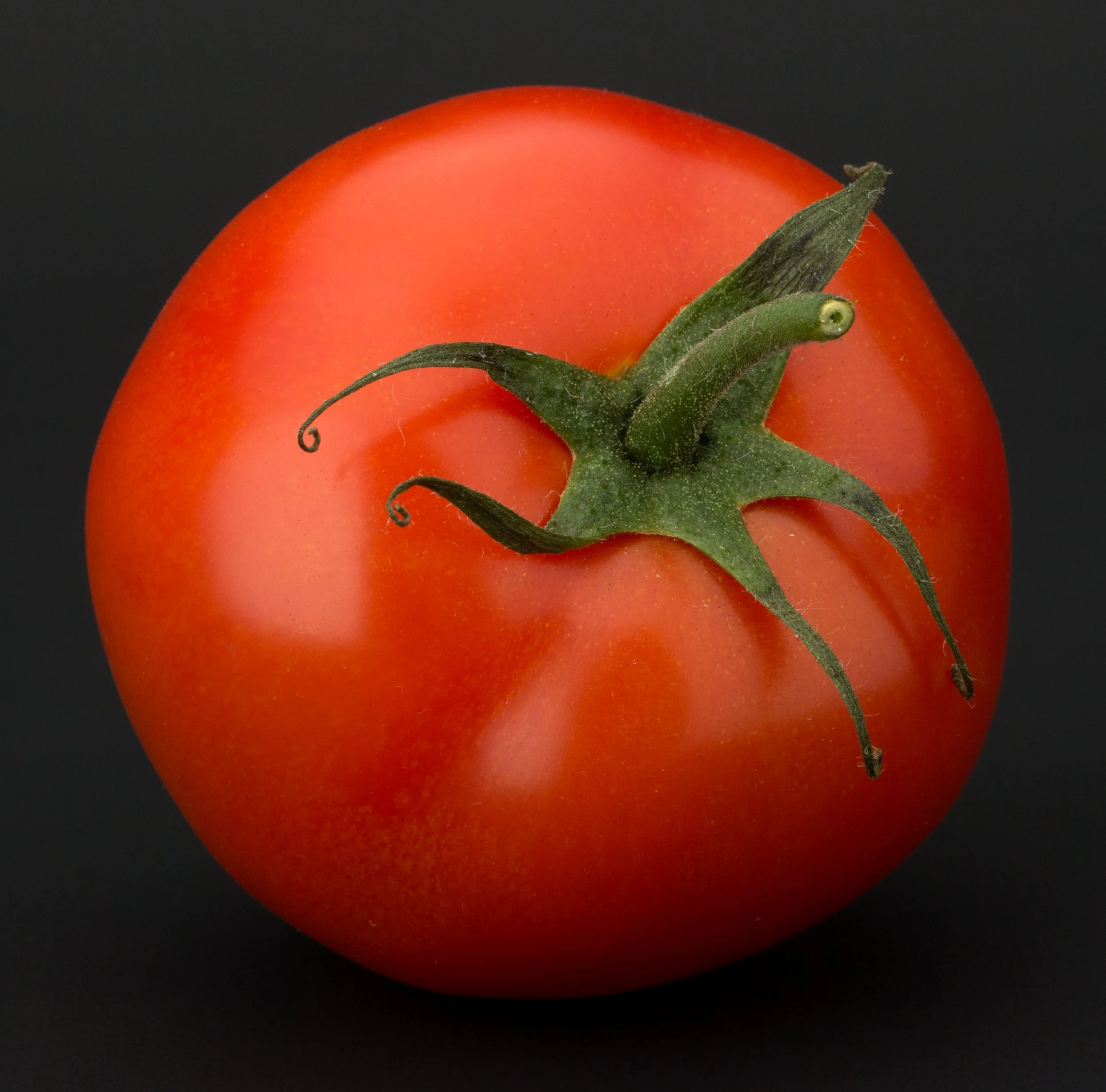 $100 One-Time Membership