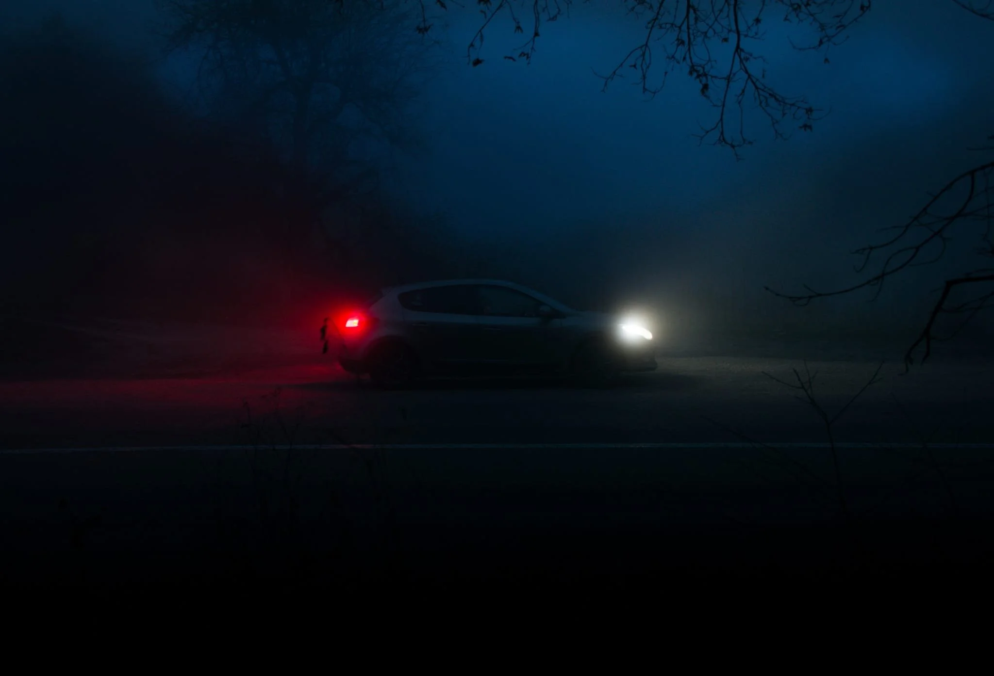 night car in forest