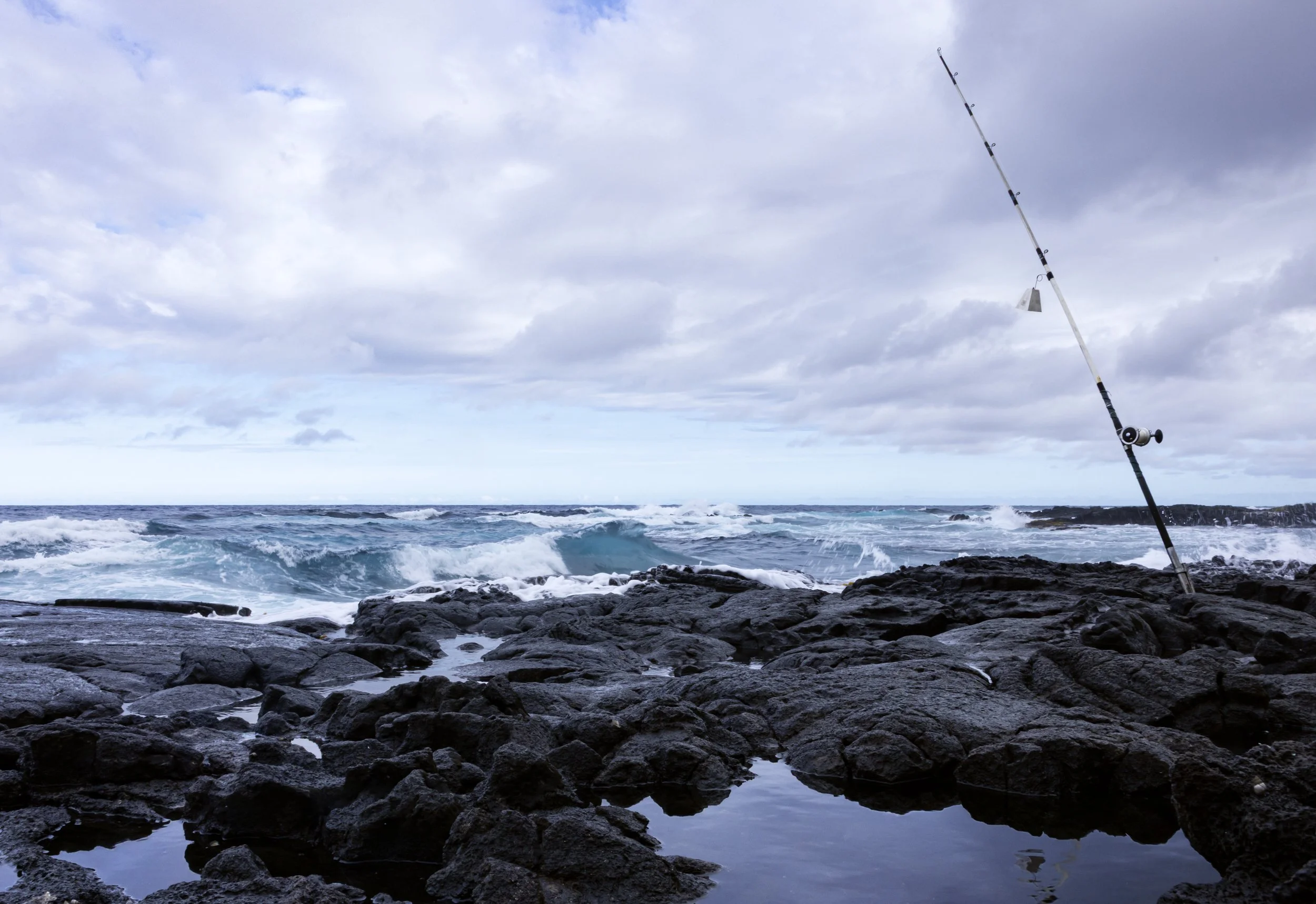 FishingpoleOcean copy.jpg