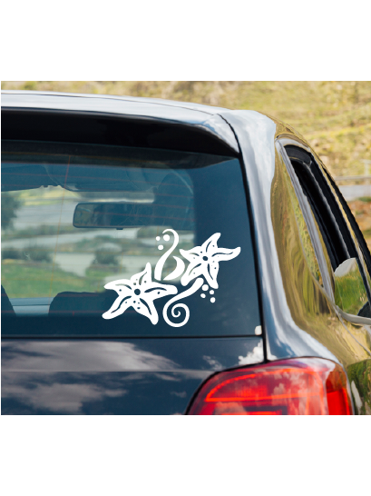 animal-starfish-02-sample.png