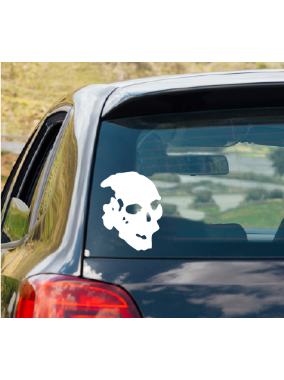 skull-cut-04-sample.png
