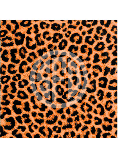 leopard-01-orangeblack.png