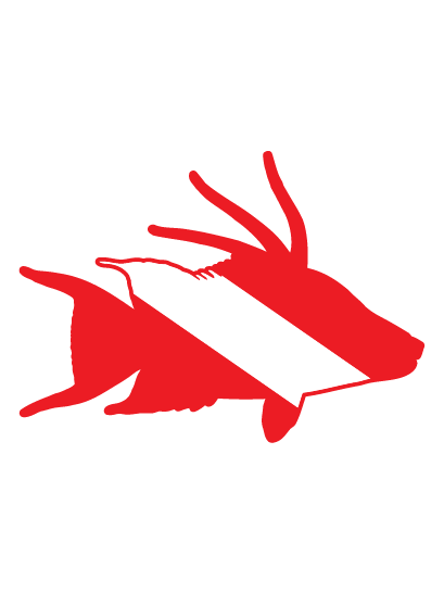 diveflag-hogfish-01.png