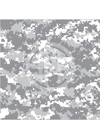 camo-digital-ltgrey white.png
