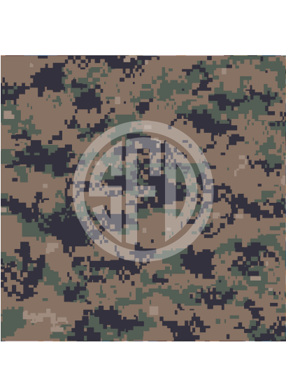 camo-digital-military-army.png