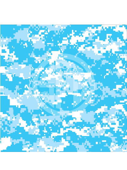 camo-digital-ltblue white.png