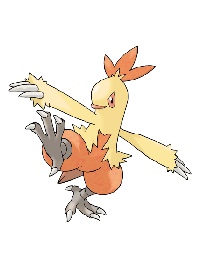 pkmn-combusken-01.png