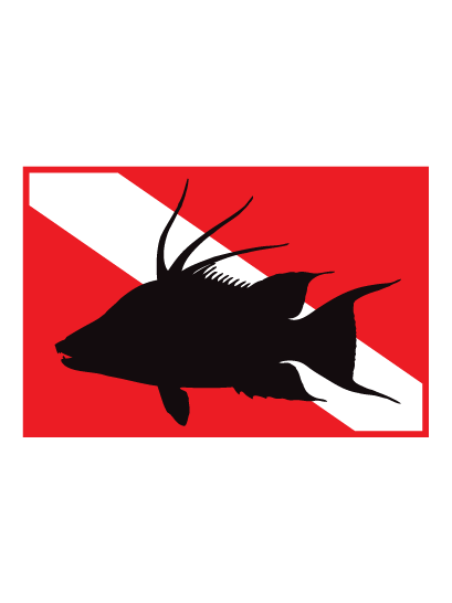 diveflag-hogfish-02.png