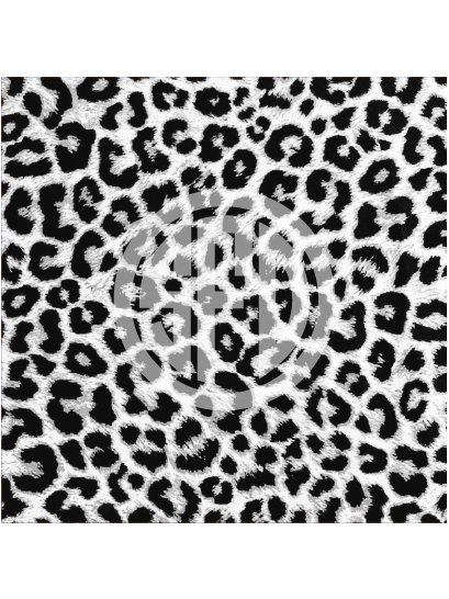 leopard-01-whiteblack.png
