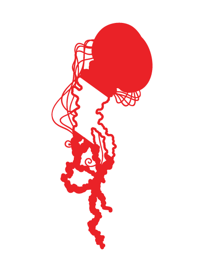 diveflag-jellyfish-02.png