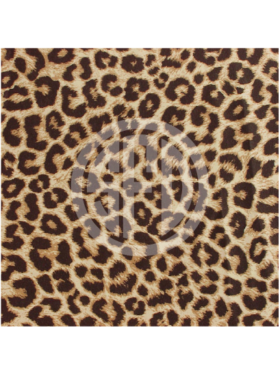 leopard-01-regular.png