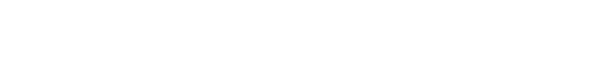 JIRI RAKOSNIK