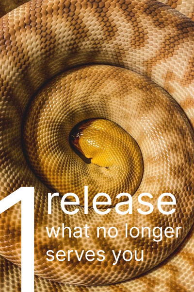 New Beginnings Step 1 Relese
