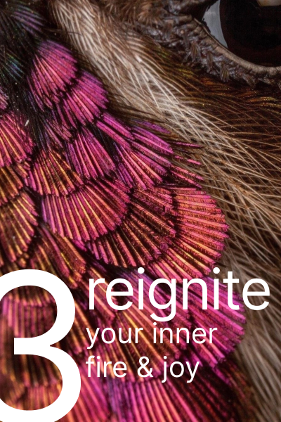 New Beginnings Step 3 Reignite