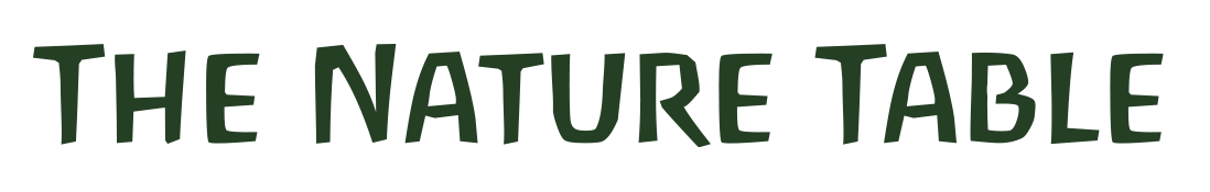 The Nature Table