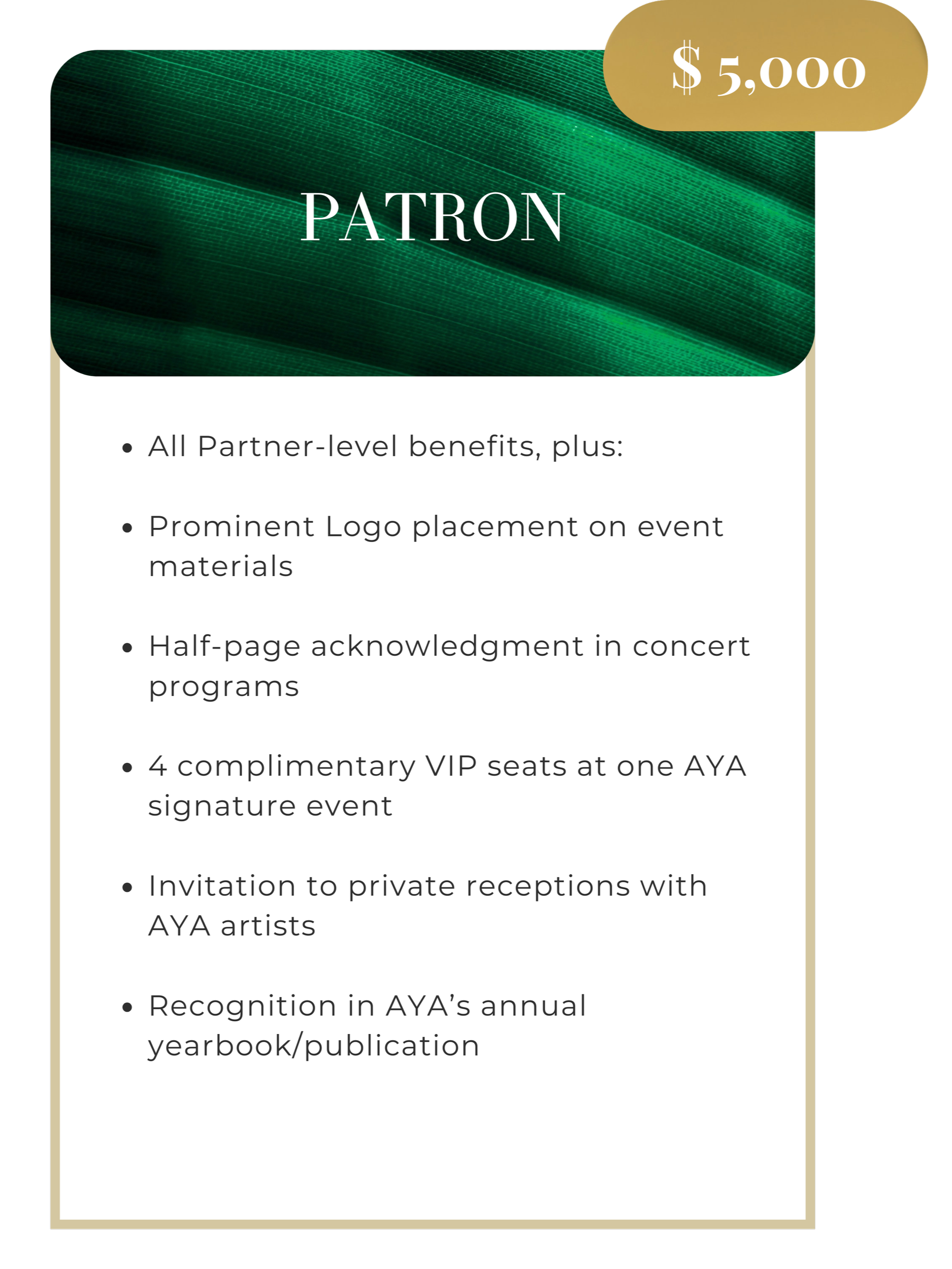 A promotional flyer featuring a $5,000 patron sponsorship opportunity, listing benefits such as logo placement, concert program acknowledgment, VIP seats, private artist receptions, and recognition in a publication.