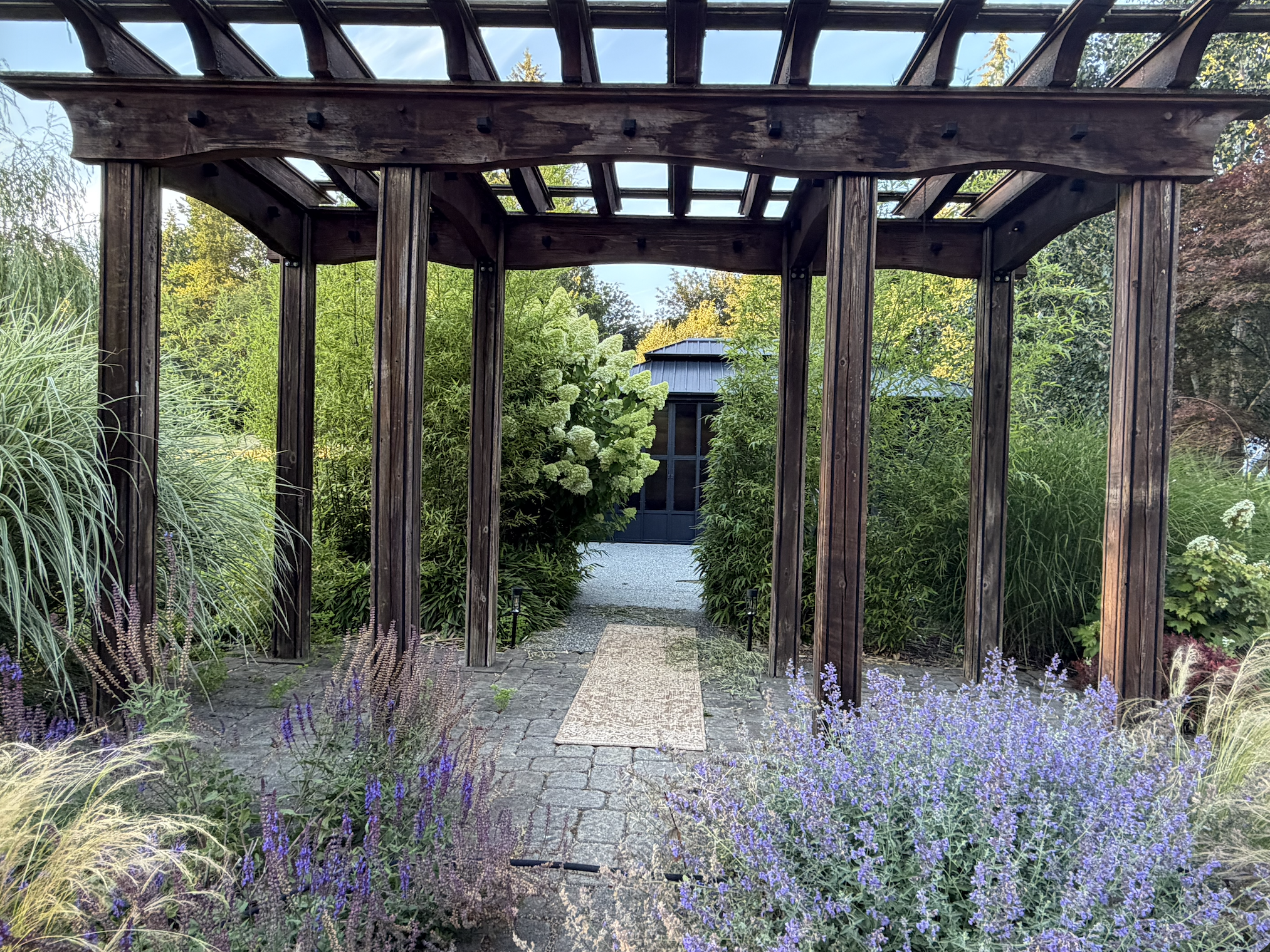 A garden scene with a wooden pergola structure over a stone pathway surrounded by various green plants and purple flowering plants, with a small building with a blue roof visible in the background.