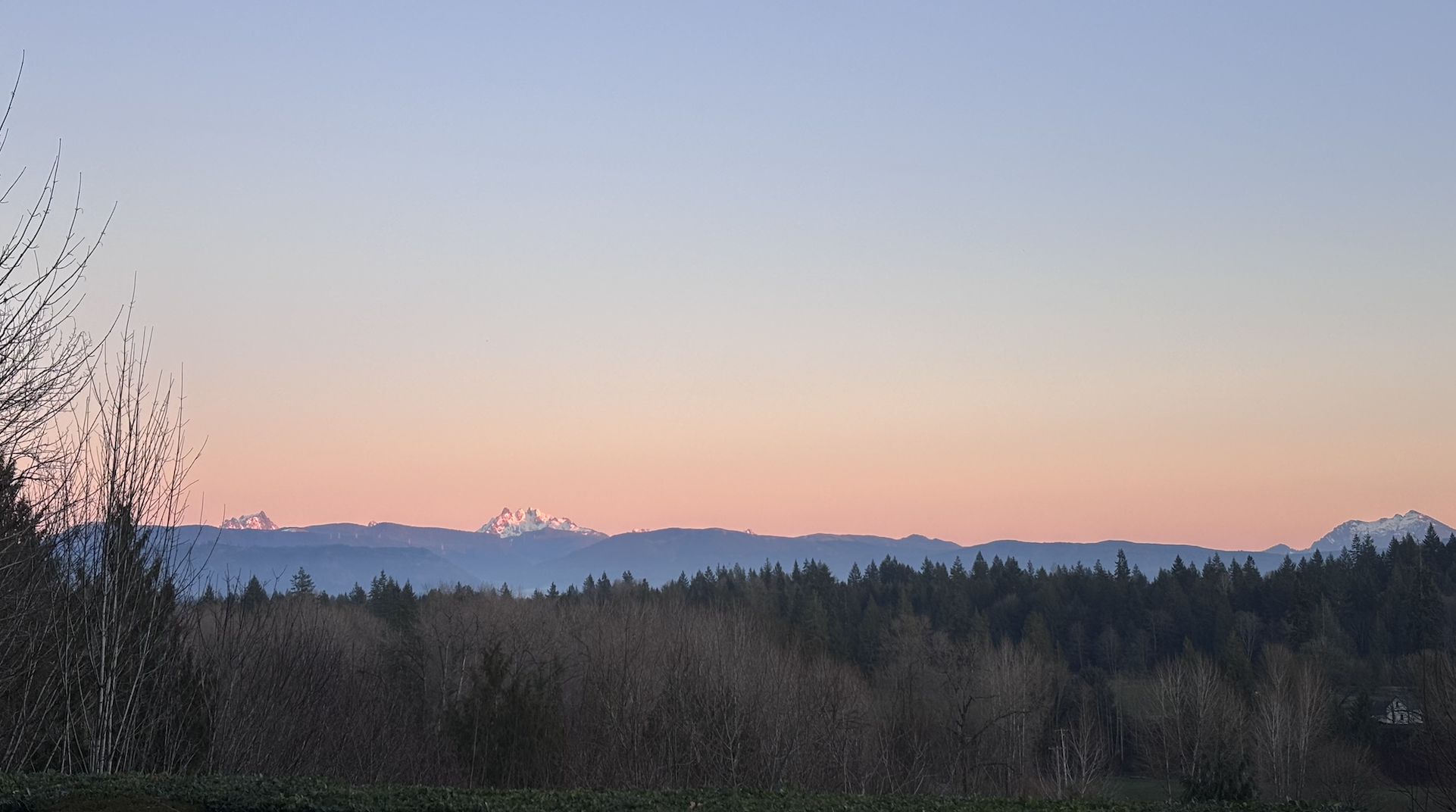Mountain range with snow-capped peaks at sunset, pastel-colored sky, trees in the foreground.