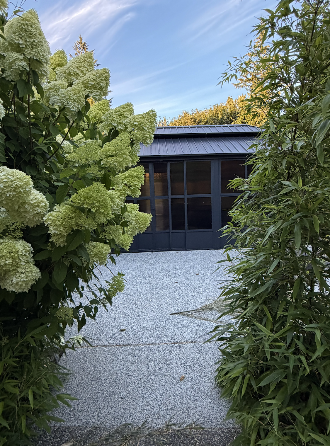 A garden shed with dark blue walls and door, surrounded by lush green bushes and plants, with a gravel path leading to it under a daytime sky.