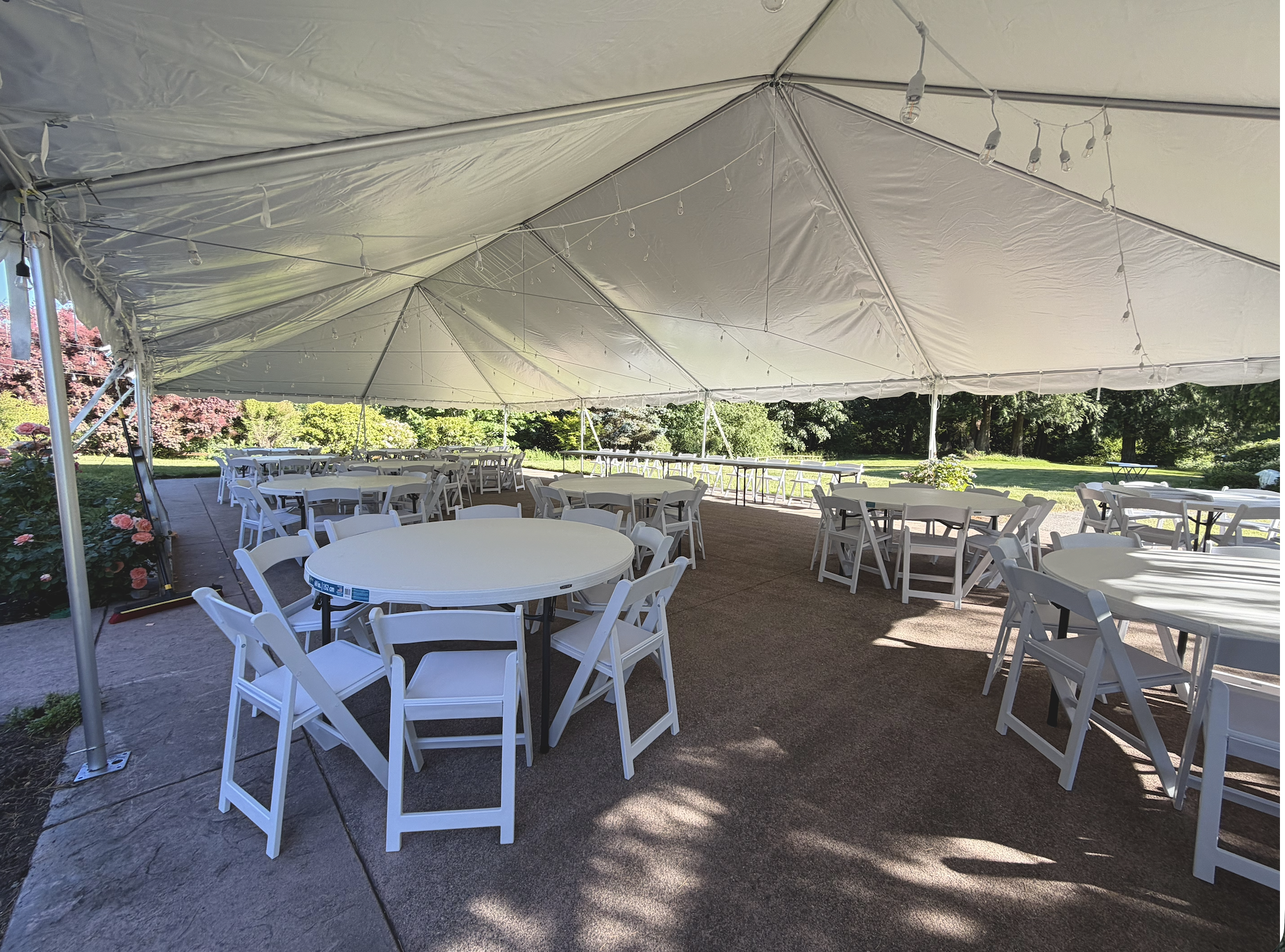 A large outdoor event tent with a white canopy, decorated with string lights, set up over round tables with white chairs, on a sunny day in a green park with trees and flowering bushes in the background.