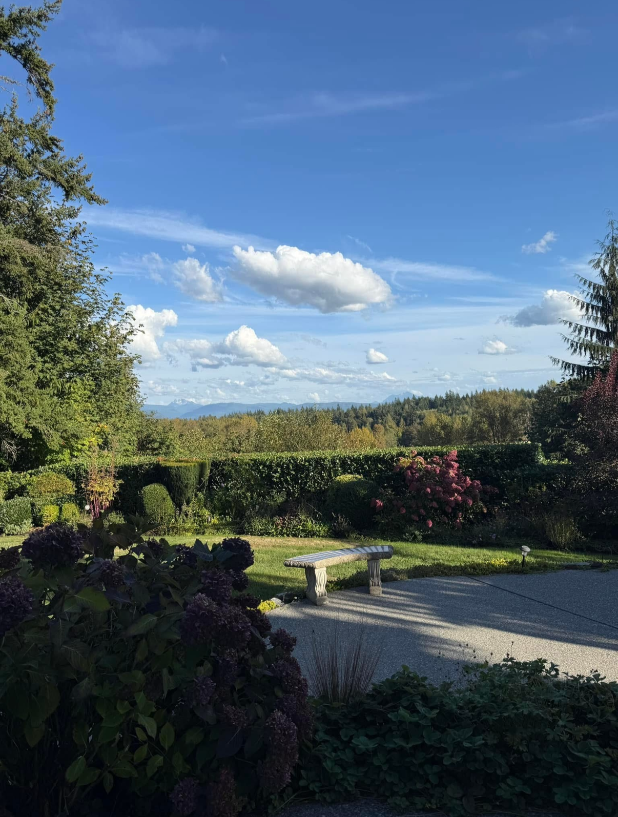 A view of a garden with blooming hydrangeas, a stone bench, neatly trimmed bushes, and trees under a partly cloudy sky with distant mountains.