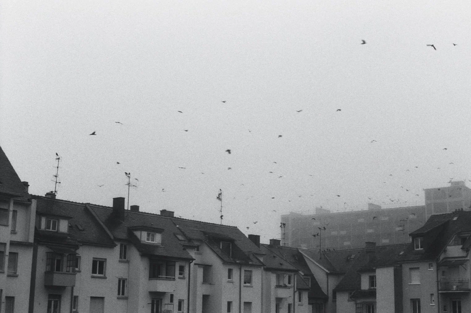STRASBOURG, FRANCE, 12/2024