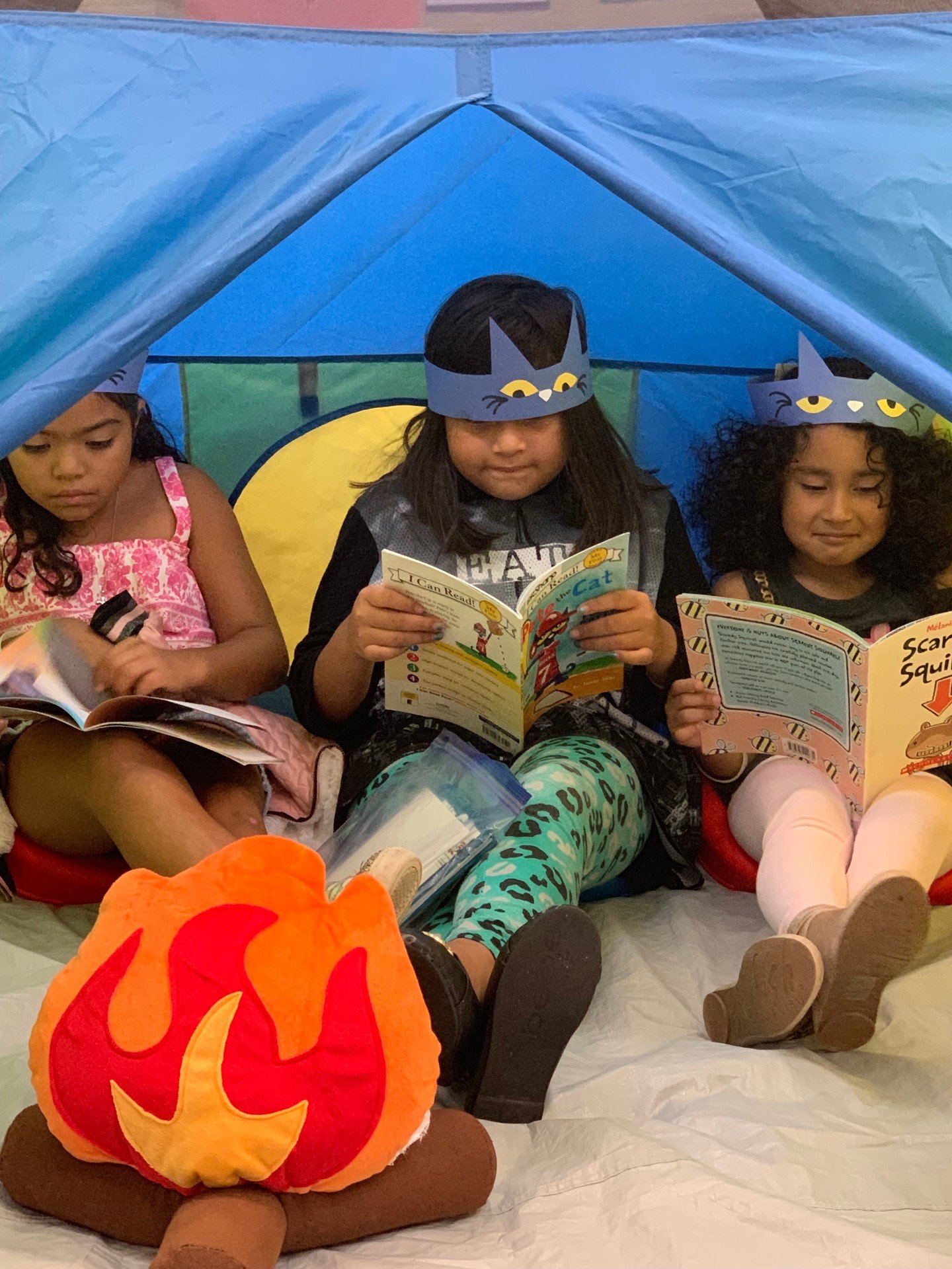 Did you know that our LitCamps programs have impacted millions of young readers across the United States? A summer camp merging LitWorld's 7 Strengths framework with the Science of Reading, LitCamps offer a joyful way of learning that teaches partici