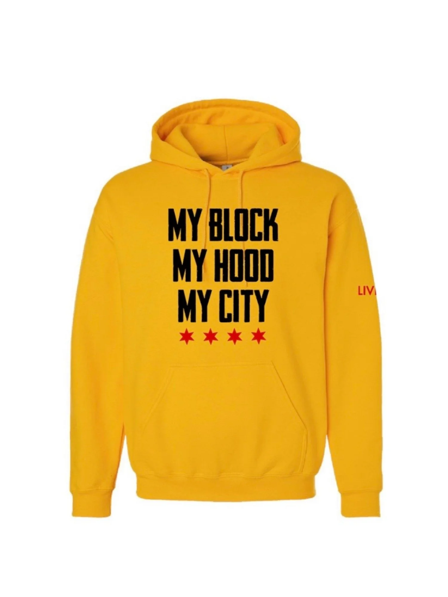 Hoodie Front_South Shore Live 77 Merch.jpg