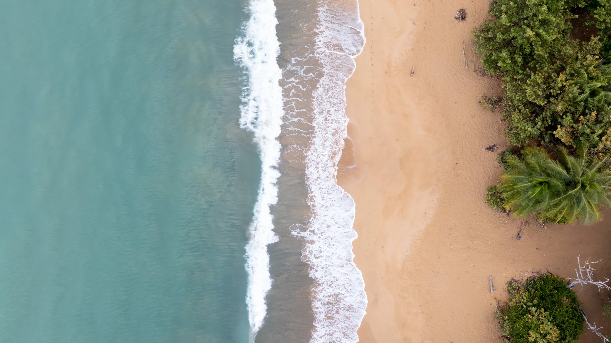 wave break copy.jpg