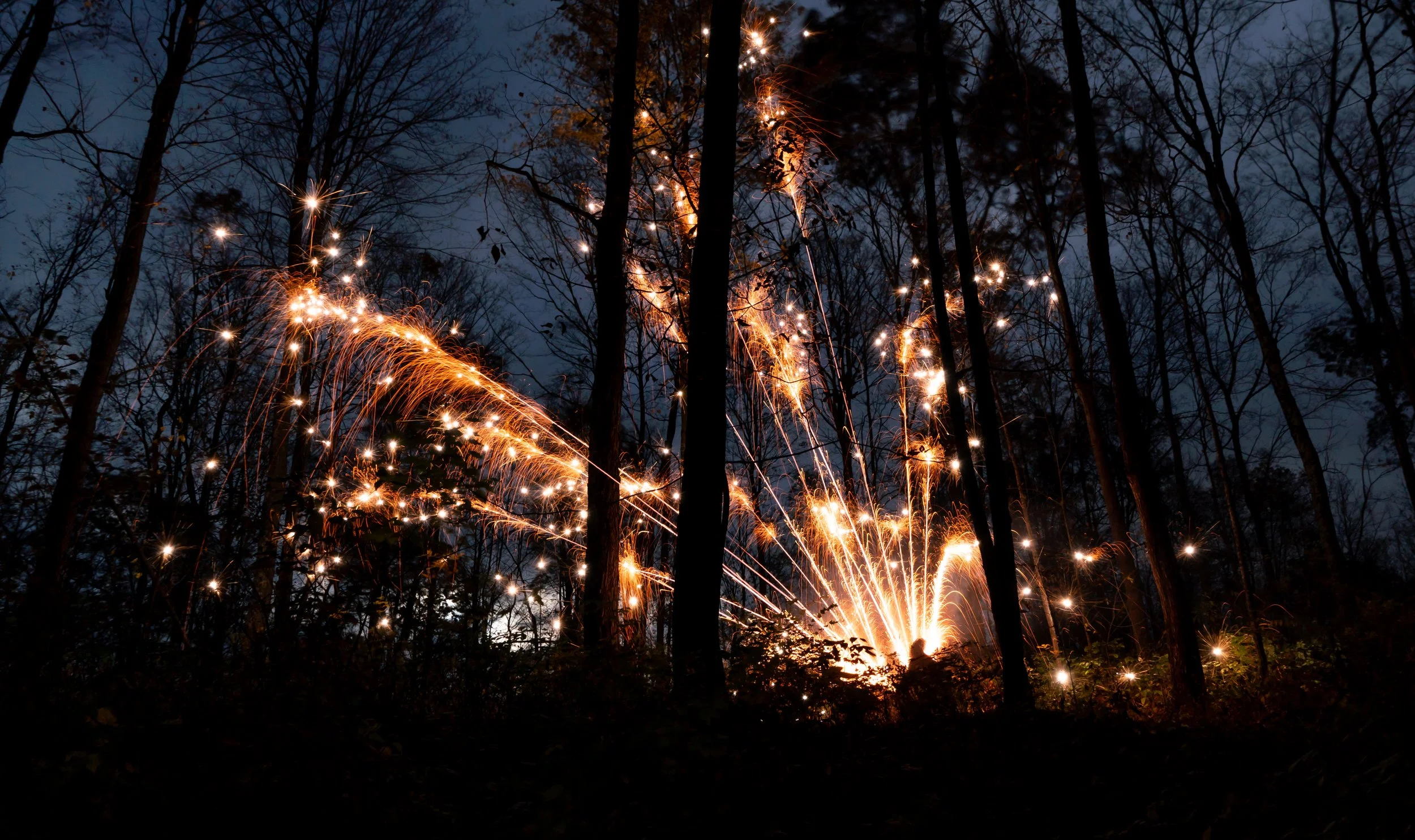 Fireworks exploding among trees in dark woods at night