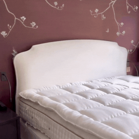 Untitled design (3).gif