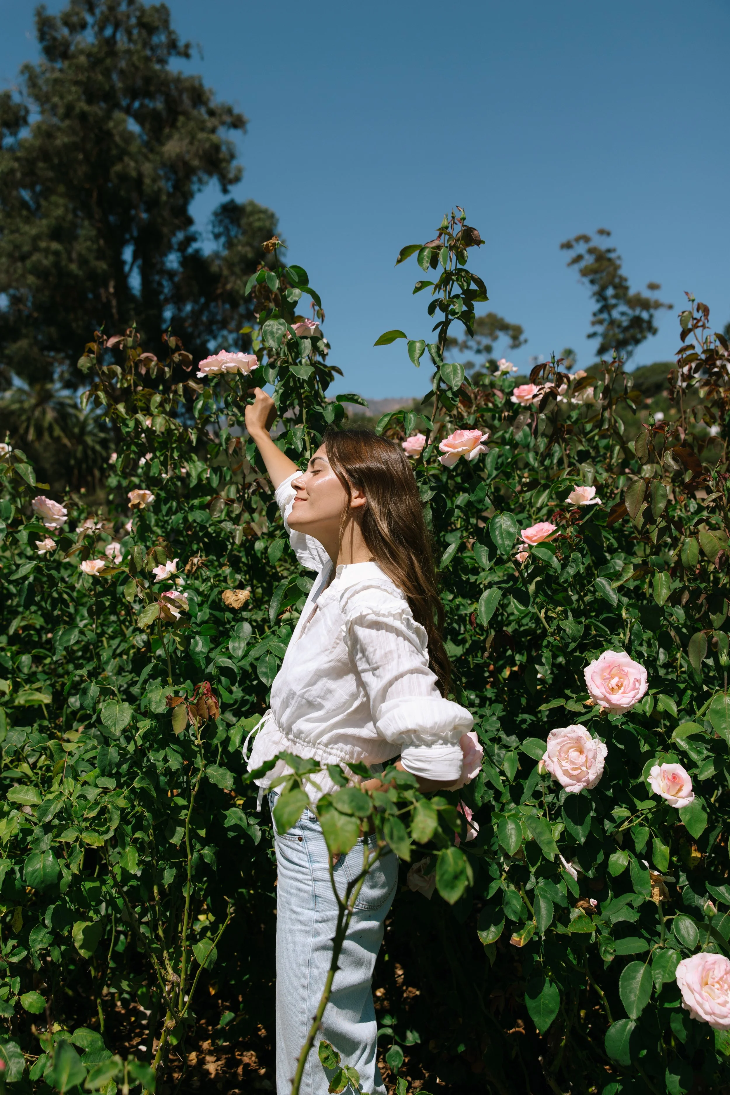 A woman with long brown hair wearing a white blouse and light-colored jeans, standing among pink roses in a garden with a clear blue sky in the background.