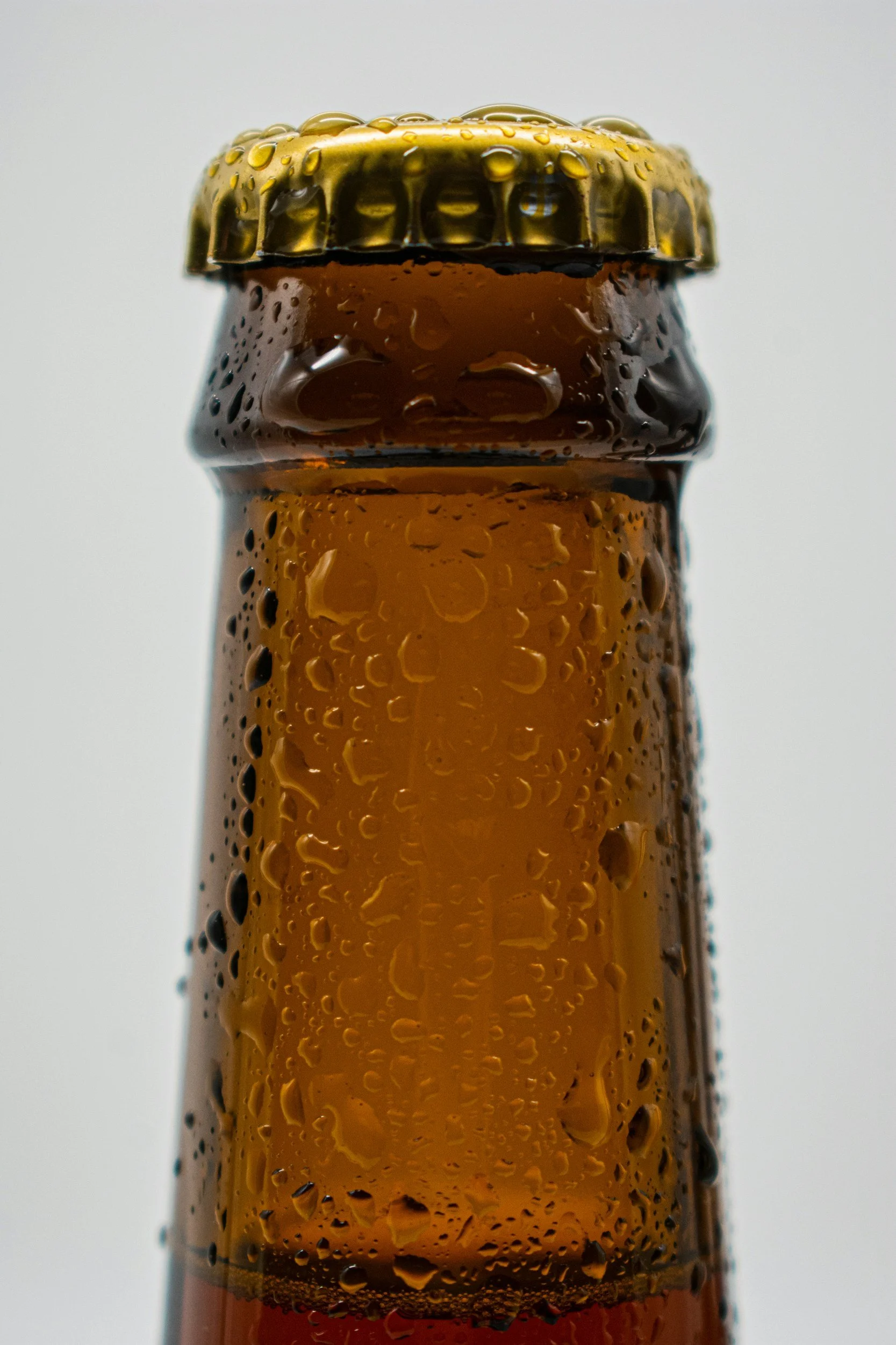 The glistening top of a beer bottle with a golden cap.