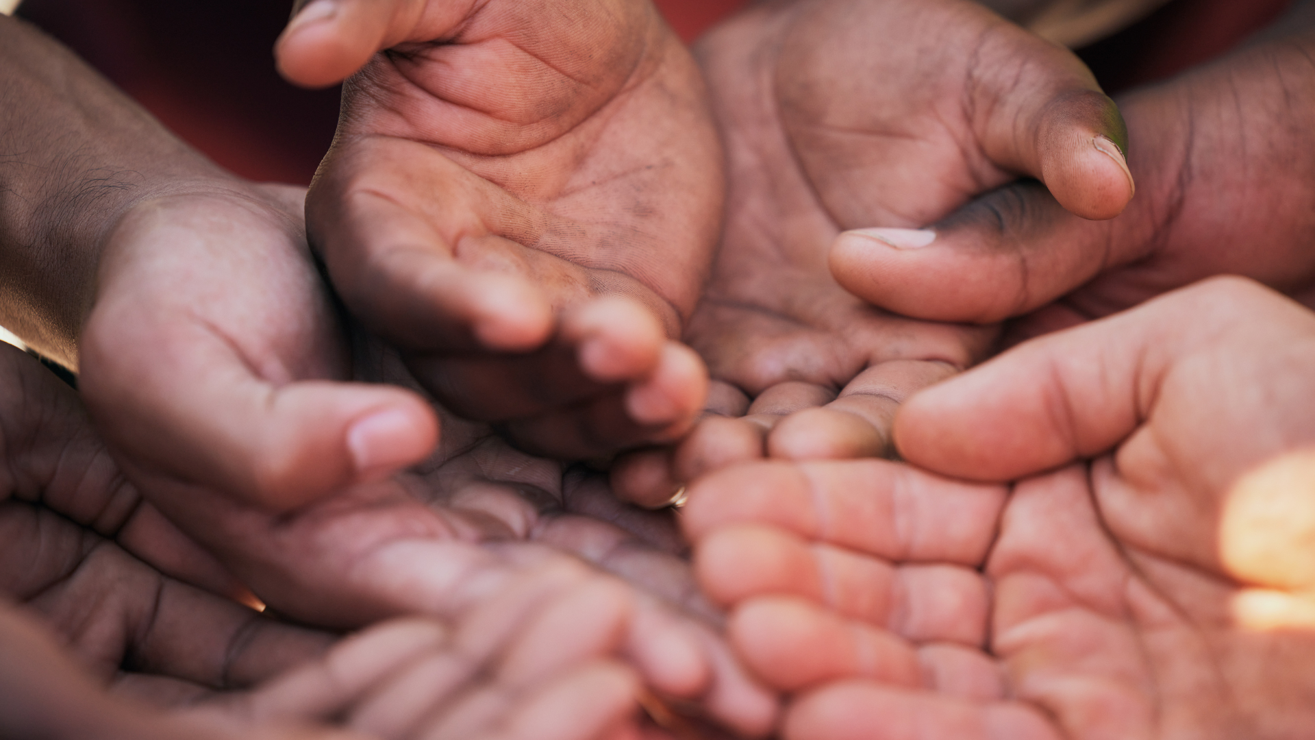 Proyectos culminados