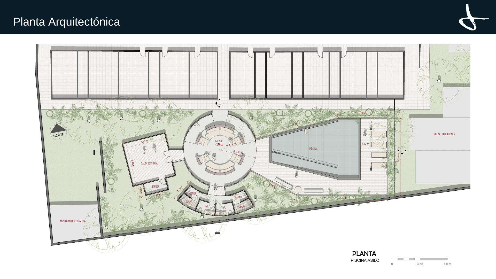 ASILO PISCINA (1).png