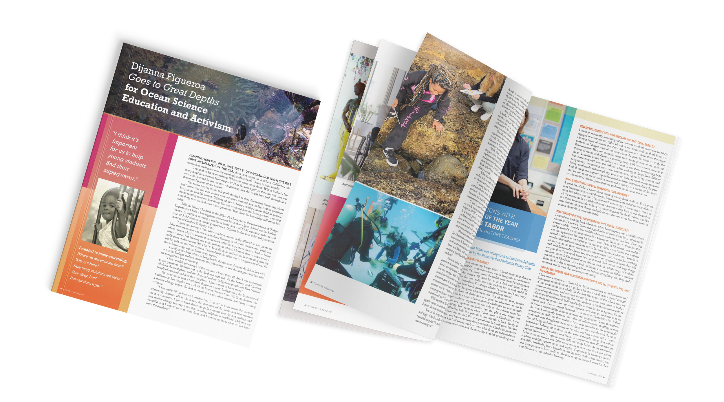 compass-feature-dijanna copy.png