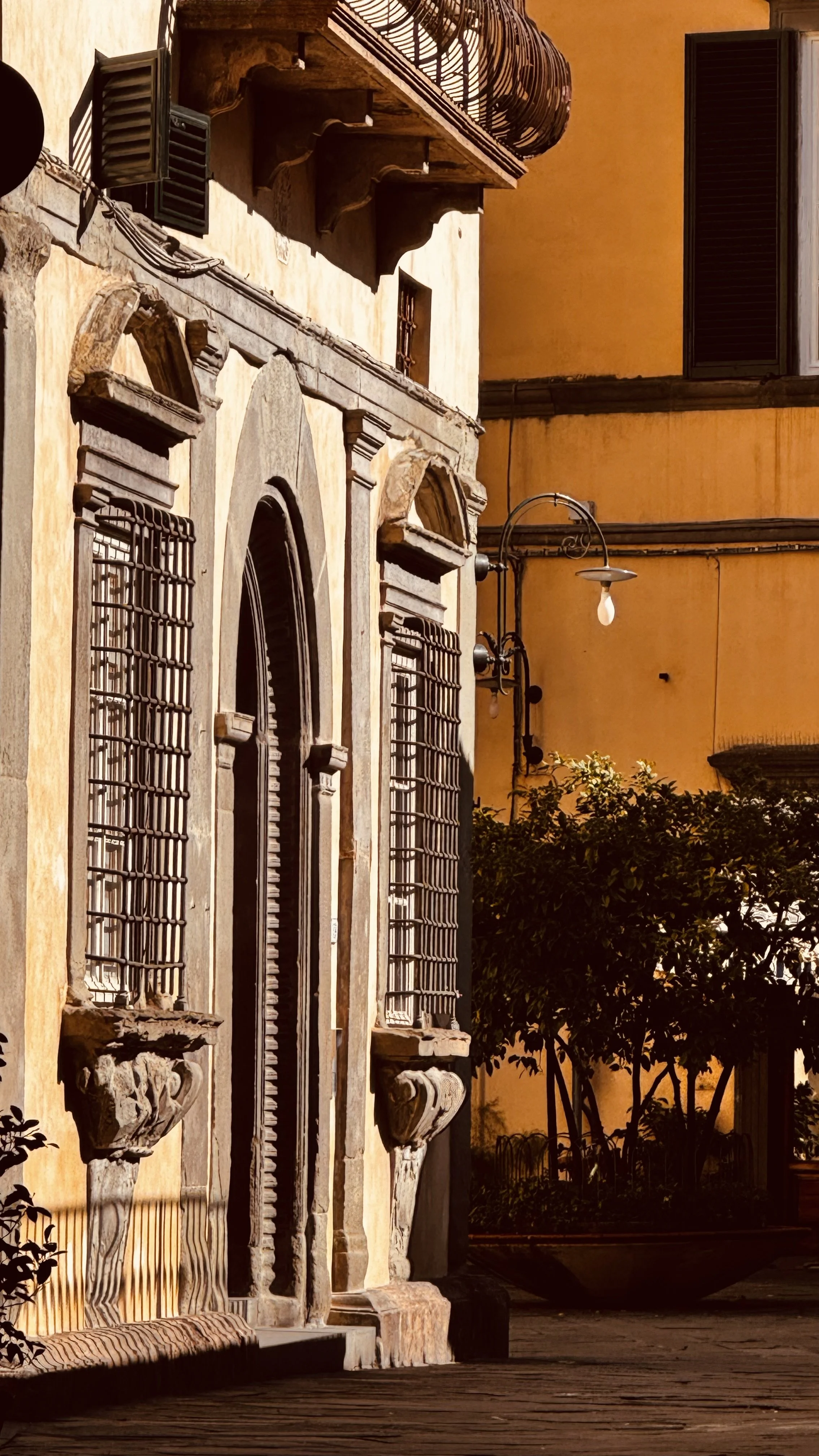IMG_1032.jpeg