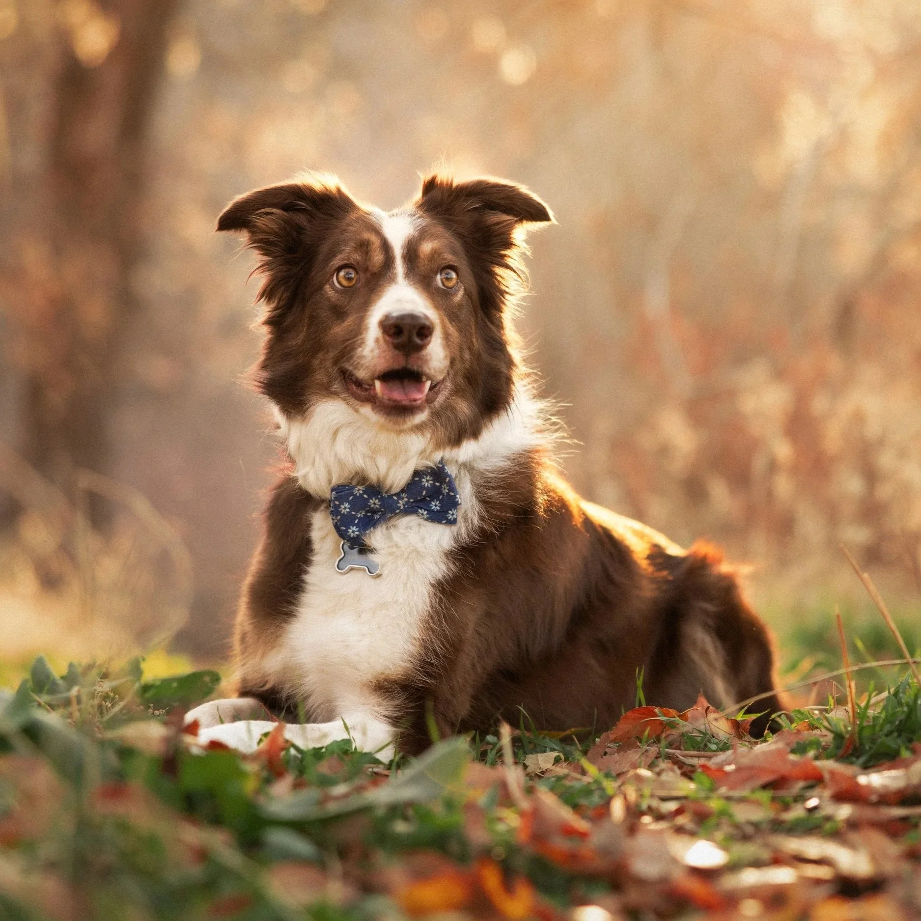 IMG_4636-Edit.jpg
