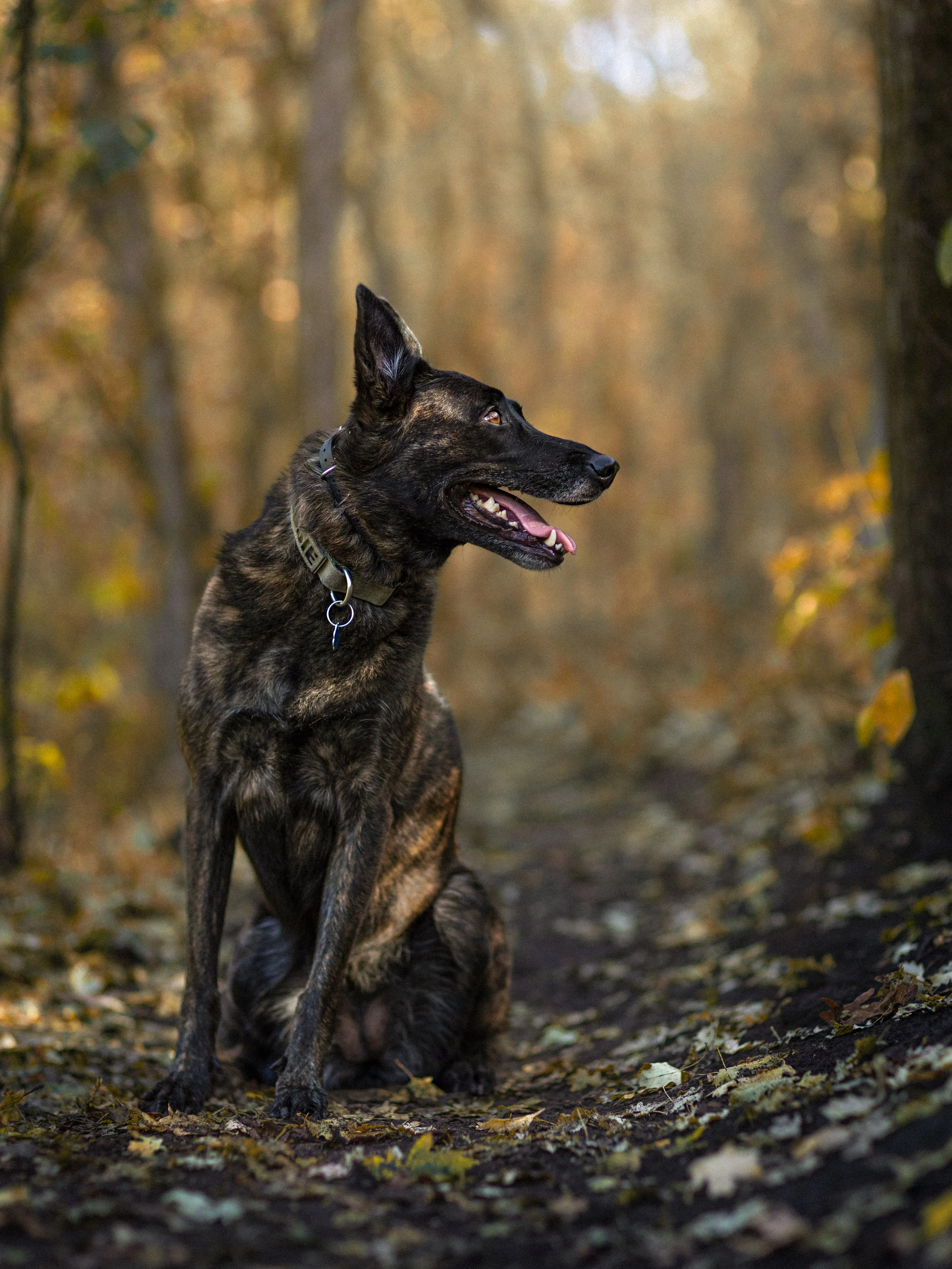 IMG_9312-Edit.jpg