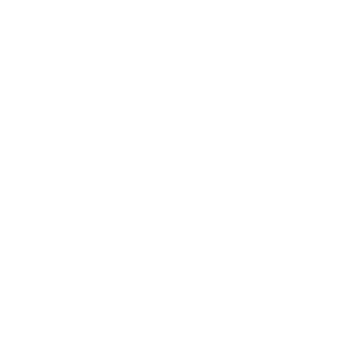Instagram logo illustration in Lara Sheehi’s social links.