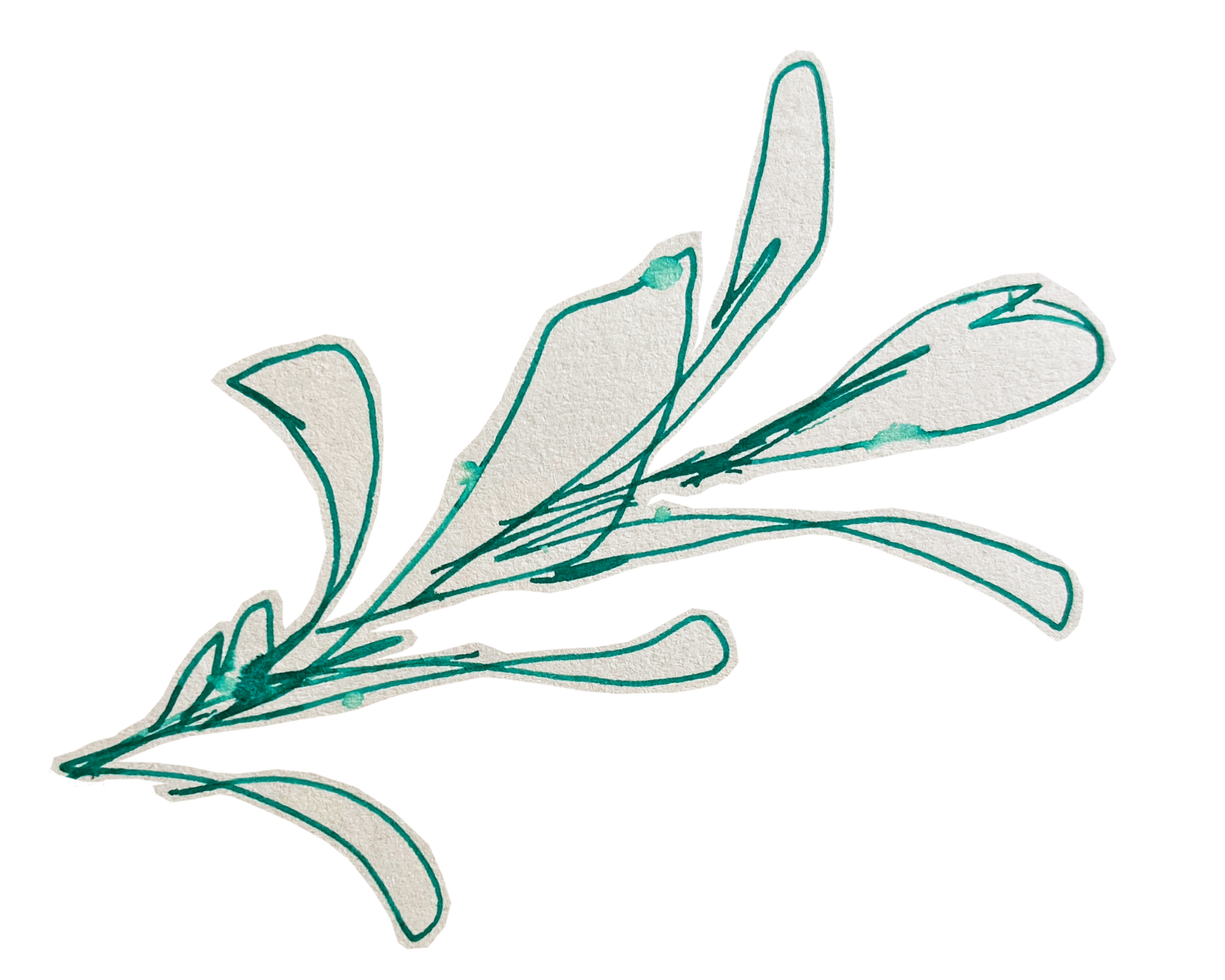 Illustration detail of an olive branch. Green pen, interrupted by droplets of rain, adorn Lara Sheehi’s comrades.