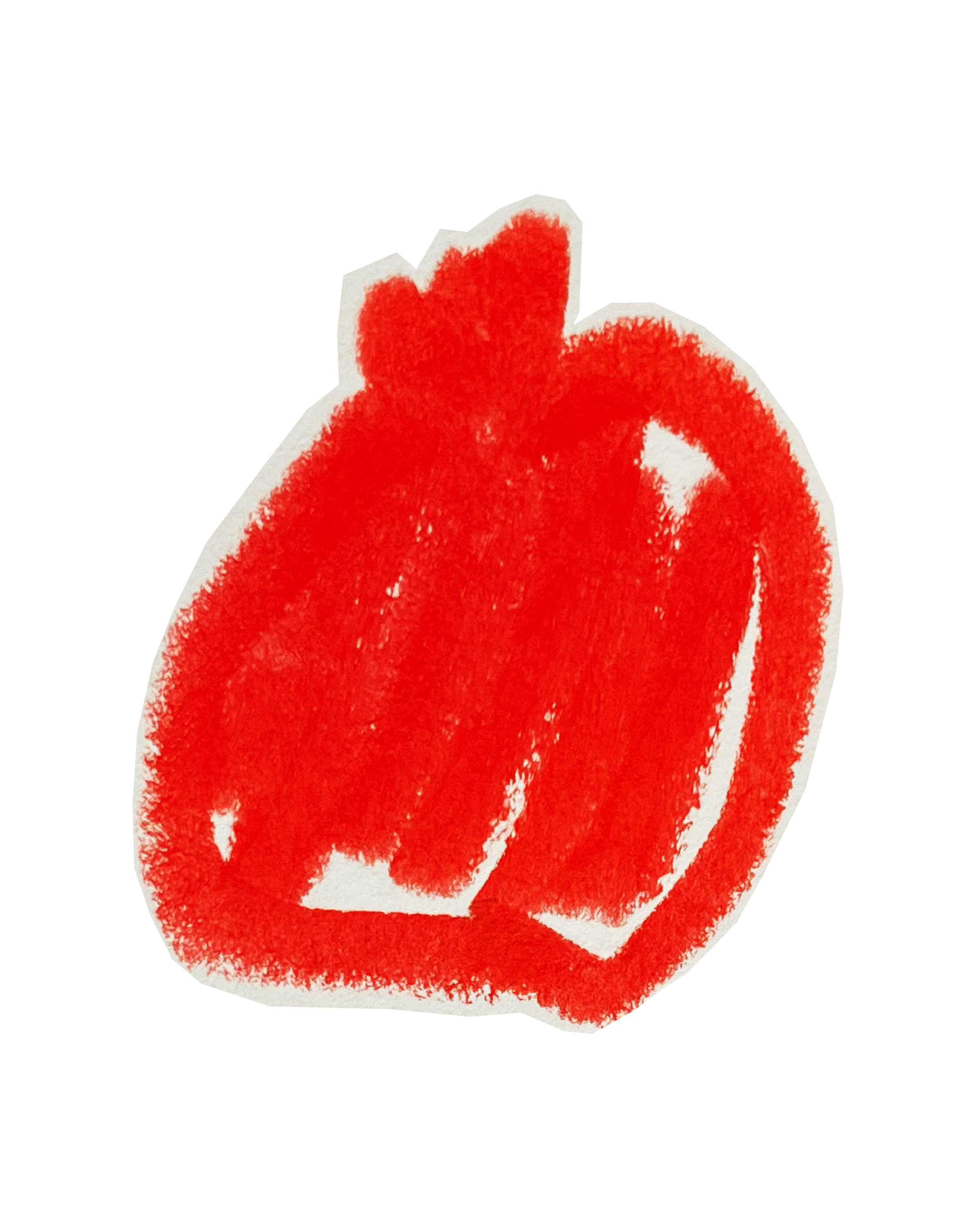 Illustrations of pomegranate in red acrylic flank Lara Sheehi’s new book From the clinic to the streets.